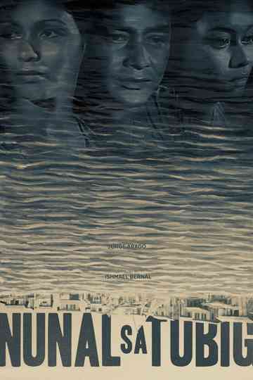 A Speck in the Water Poster