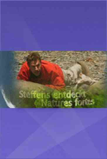 Steffens entdeckt Poster