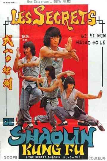 The Secret Shaolin KungFu Poster