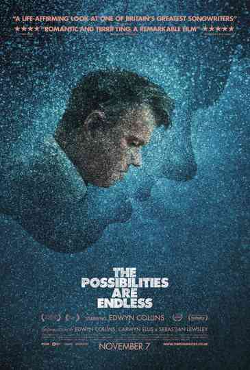 The Possibilities Are Endless Poster