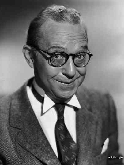 A Doggone Mixup Poster