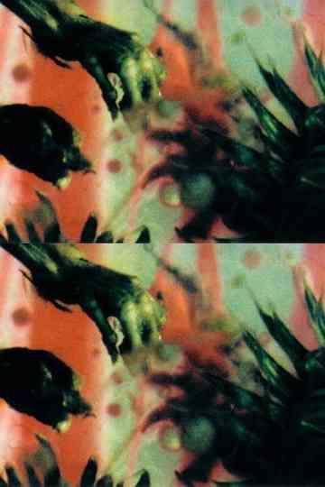 A Darkness Swallowed