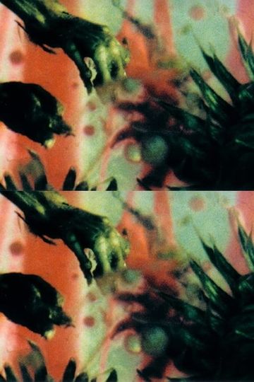 A Darkness Swallowed