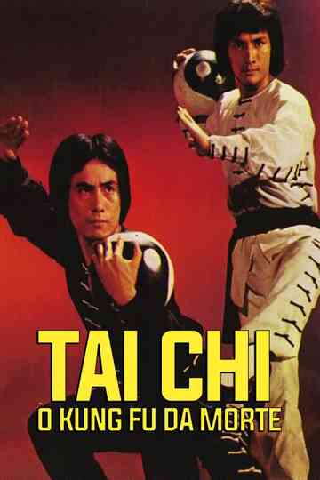 Tai Chi Shadow Boxing Poster