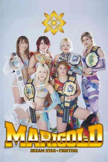 Dream Star★Fighting Marigold Poster