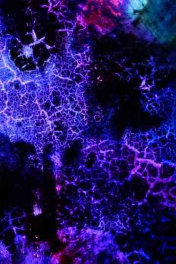 Elementary Phrases Poster