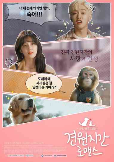 Monkey and Dog Romance Poster