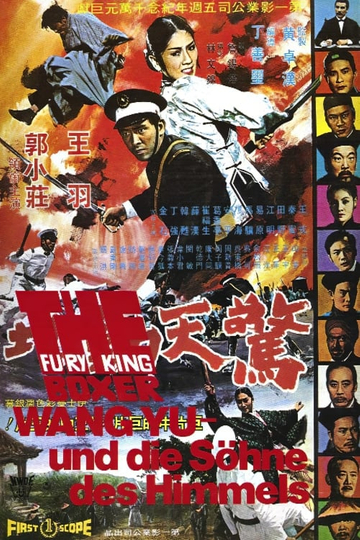 Fury of King Boxer Poster