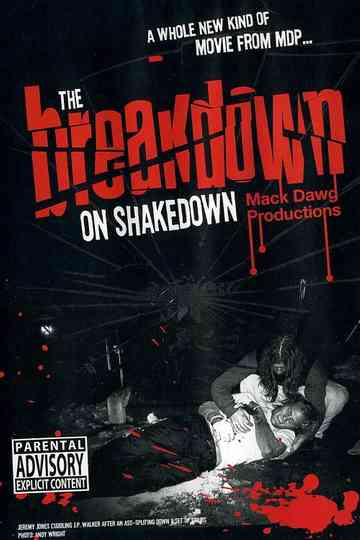The Breakdown on Shakedown Poster