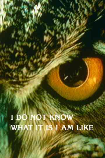 I Do Not Know What It Is I Am Like Poster