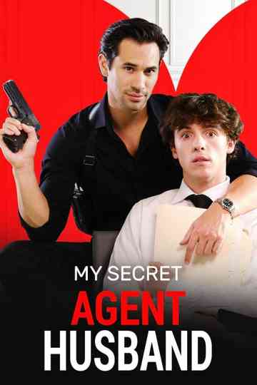My Secret Agent Husband