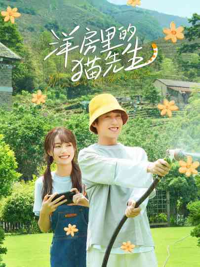 Mr. Cat in the Villa Poster