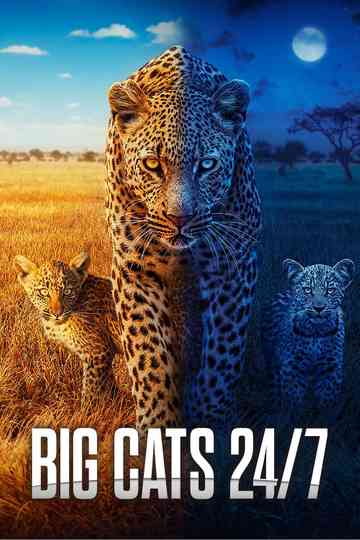Big Cats 24/7 poster