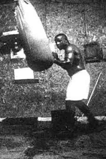 Meditations on Revolution Part IV Greenville MS Poster