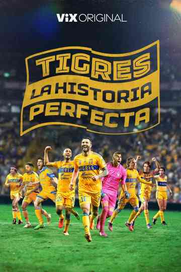 Tigres: La historia perfecta poster