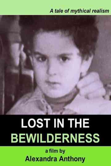 Lost in the Bewilderness Poster