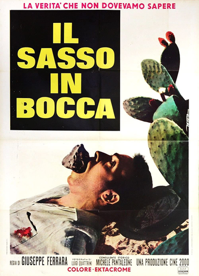 Il sasso in bocca