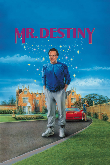 Mr Destiny