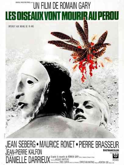 Birds in Peru Poster