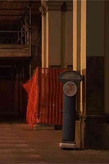 Starless Night Poster