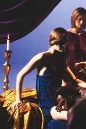 Degrees of Blindness Poster