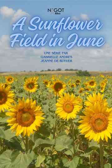 A Sunflower Field in June Poster