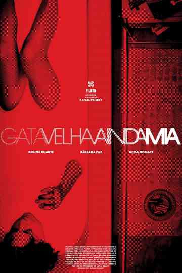 Never Too Old to Meow Poster