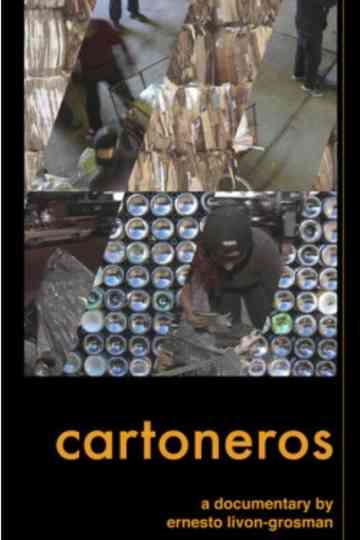 Cartoneros Poster