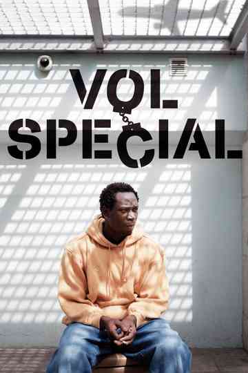 Special Flight Poster