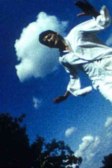 Falling Desert Syn Poster