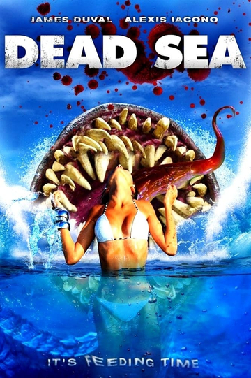 Dead Sea Poster