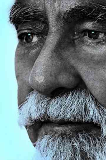 Expropriation Poster