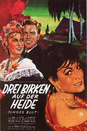 Drei Birken auf der Heide Poster