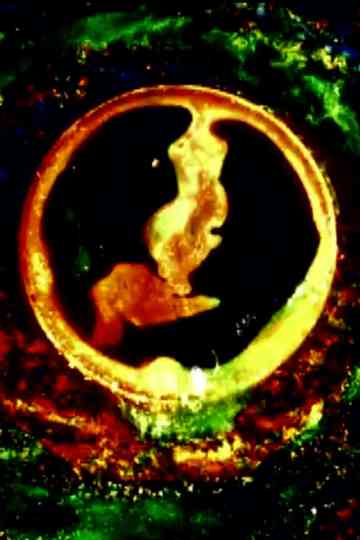 Impressions from the Upper Atmosphere Poster