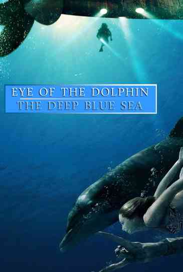 Eye of the Dolphin Collection Poster