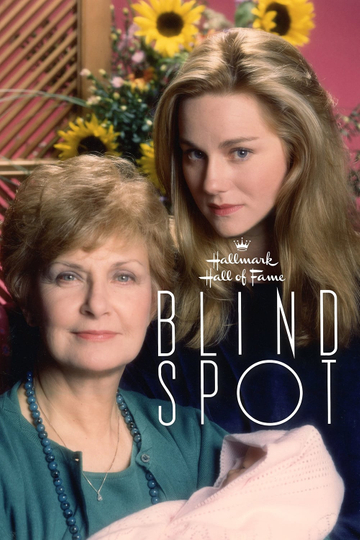 Blind Spot Poster