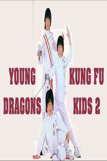 The Kung Fu Kids II poster