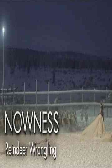 Untold Odyssey Reindeer Wrangling poster