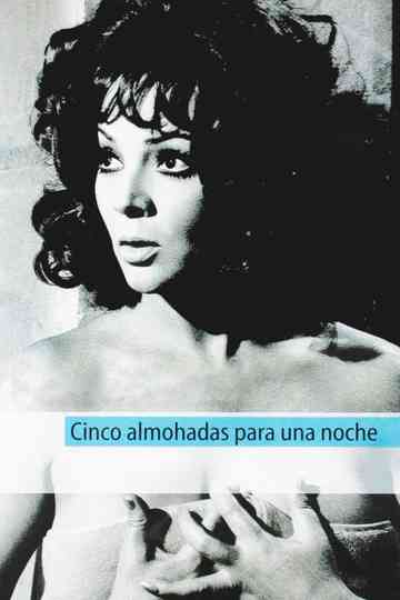 Five Pillows for One Night Poster