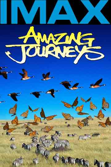 Amazing Journeys poster