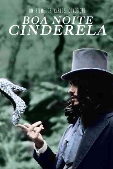 Goodnight Cinderella