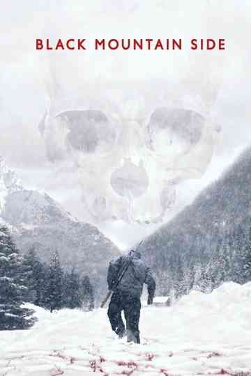 Black Mountain Side Poster