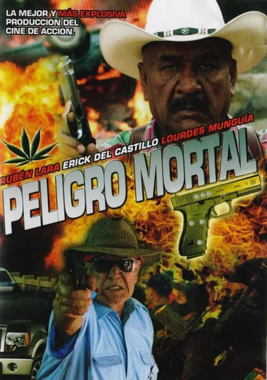 Mortal Danger Poster