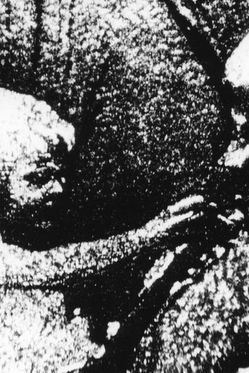 Psalm III Night of the Meek