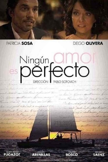 Ningún amor es perfecto