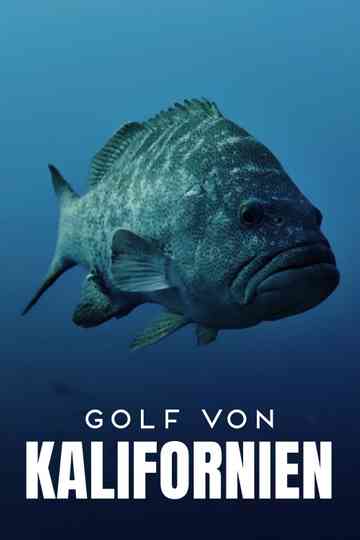 Golf von Kalifornien Poster