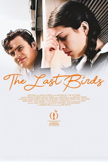 The Last Birds