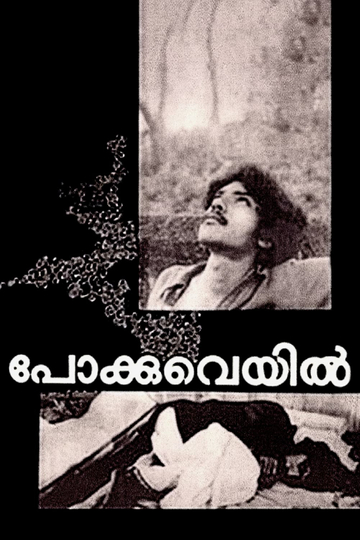 Pokkuveyil Poster