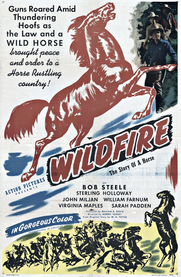 Wildfire Poster