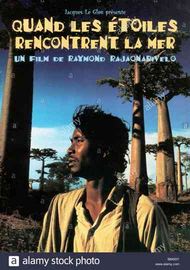 When The Stars Meet The Sea poster